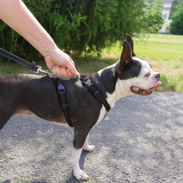 3 in 1 Harness and Car Restraint