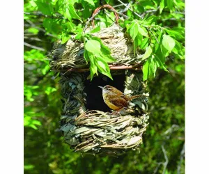 Acorn Hanging Roosting House