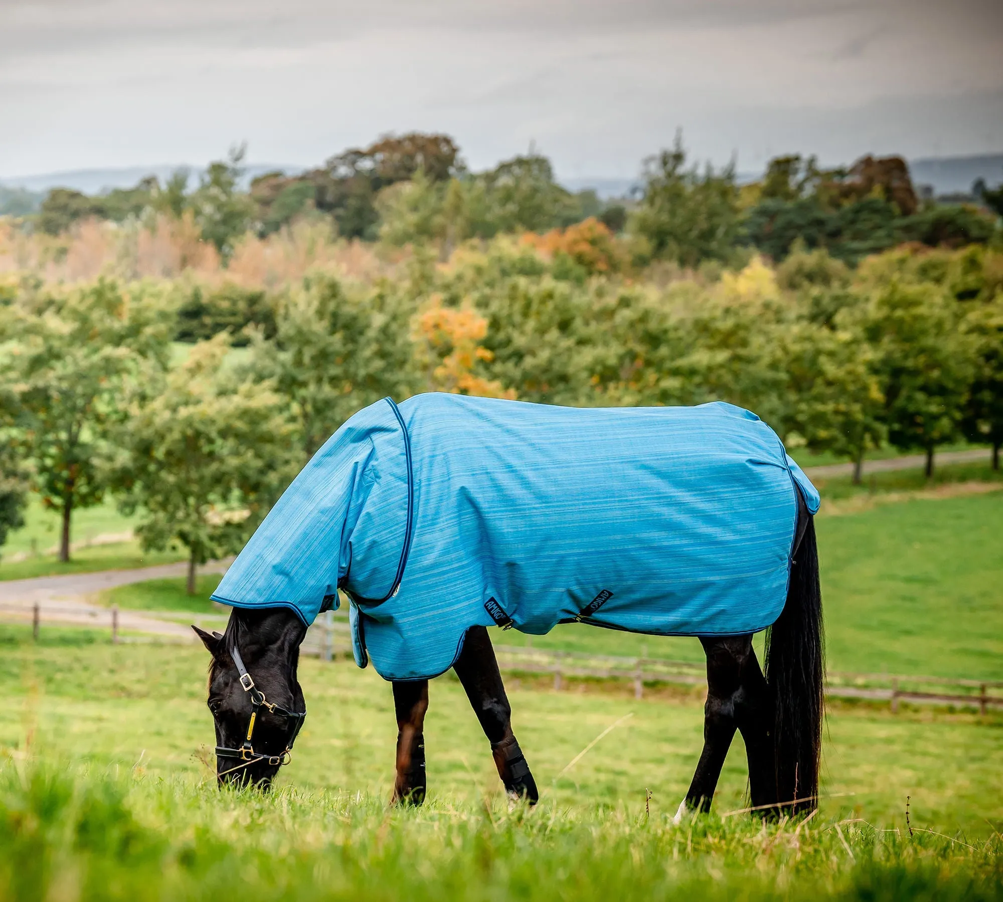 Amigo Hero 900 Revive Plus Medium Weight Horse Turnout Blanket