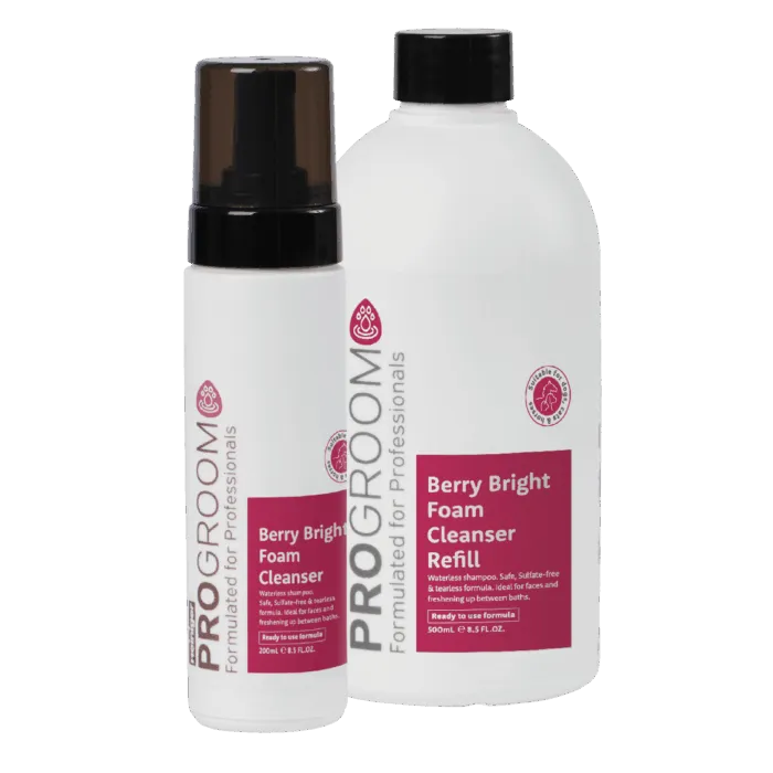 Berry Bright Foaming Cleanser