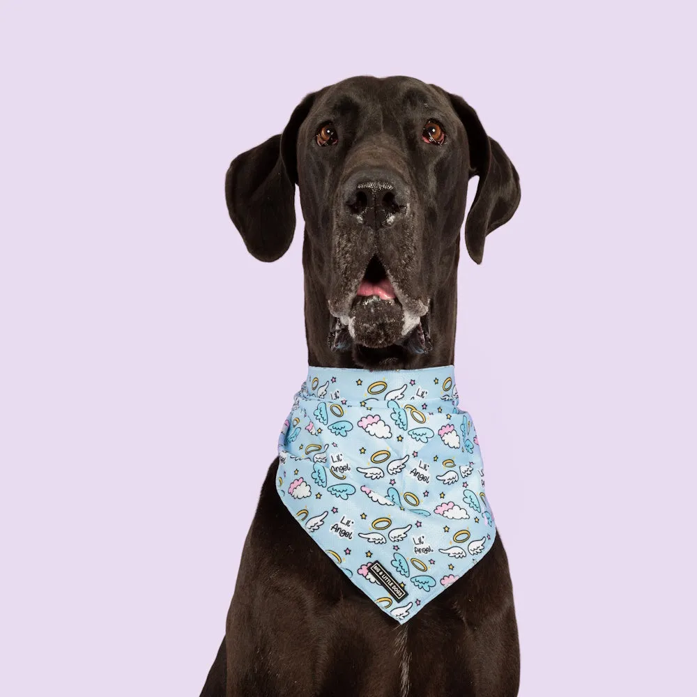 Big & Little Dogs Lil Angel Bandana