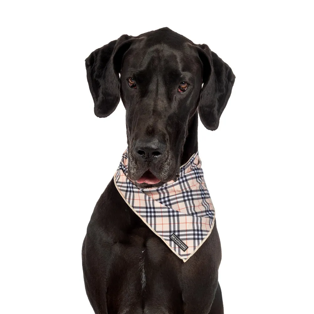 Big & Little Dogs Nova Plaid Bandana