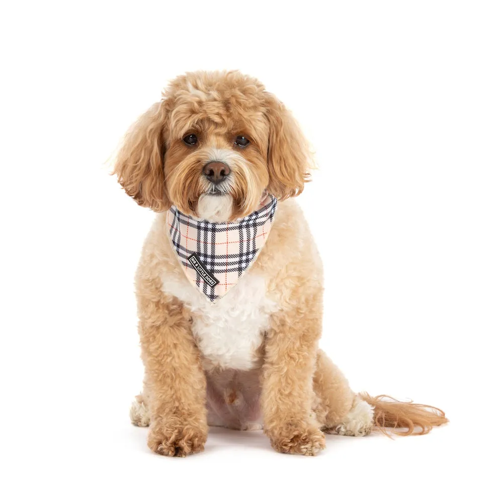 Big & Little Dogs Nova Plaid Bandana