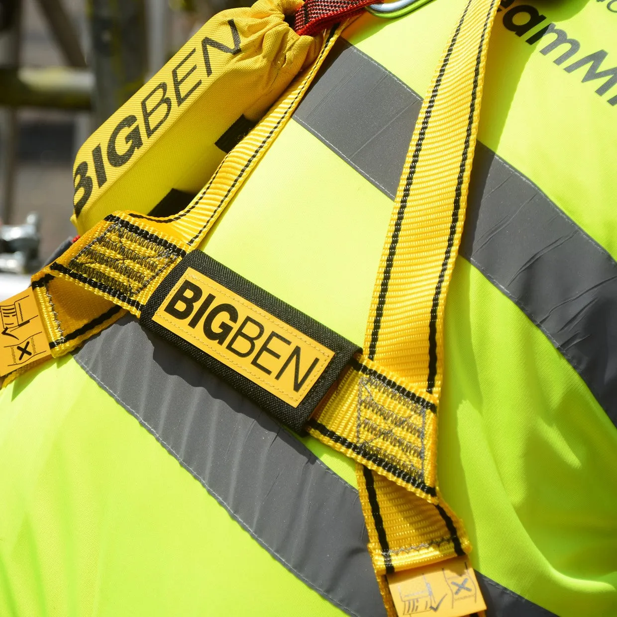 BIGBEN® BIGGUY Deluxe Comfort Plus 2 Point Safety Harness