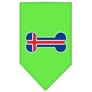 Bone Flag Iceland  Screen Print Bandana Lime Green Small