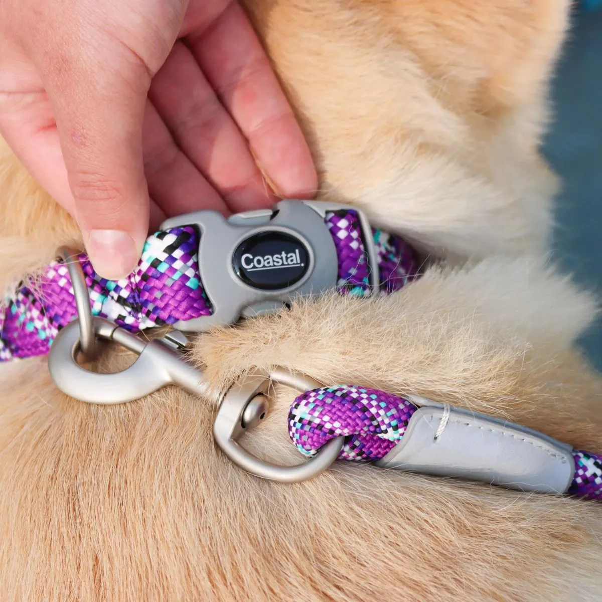 Coastal Pro Active Woven Reflective Rope Leash 6' Woven Violet