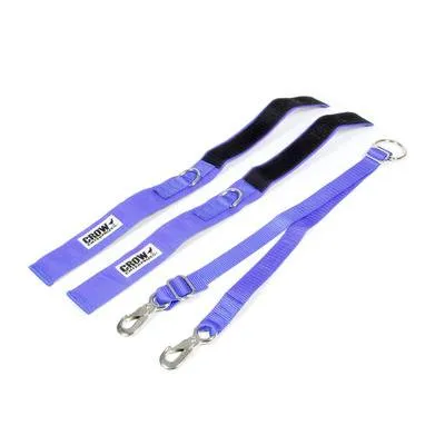 Crow 2''Arm Restraints - SFI 3.3 - Blue