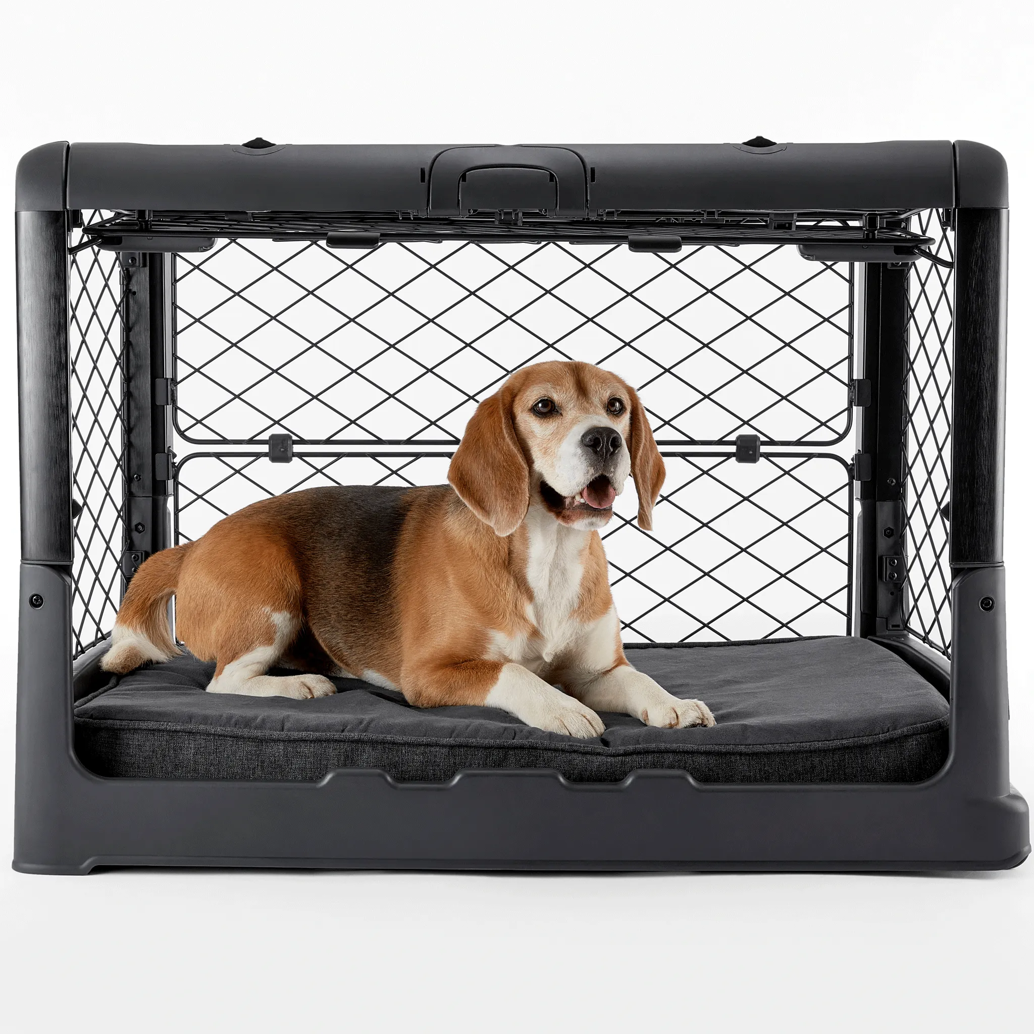 Diggs Revol Collapsible Dog Crate - Charcoal