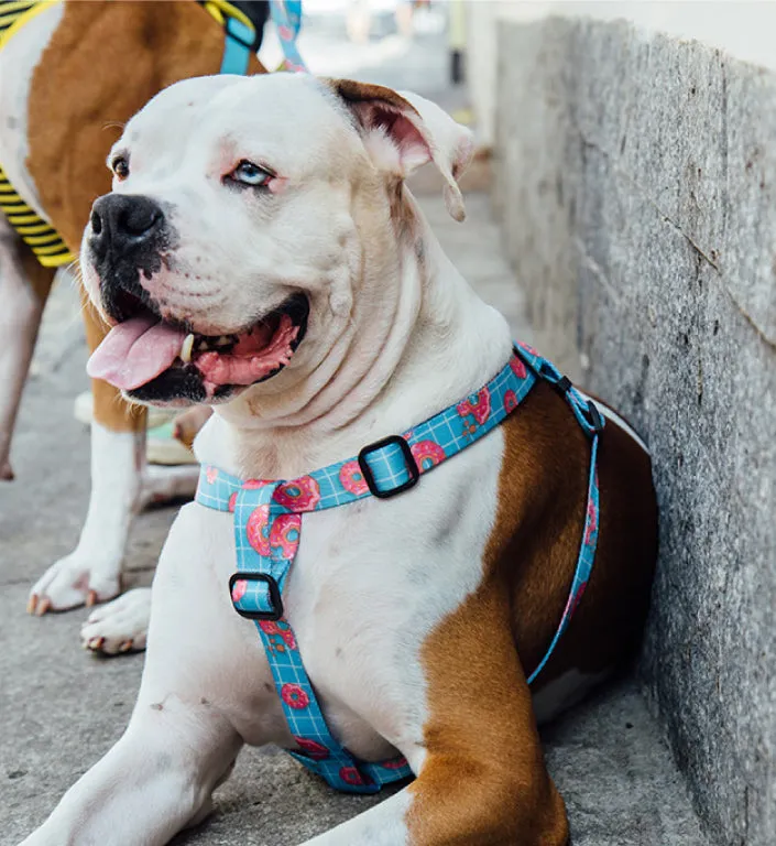 Donut | Step-in Harness