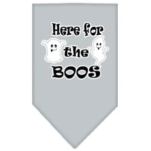 Here For The Boos Screen Print Bandana Grey Small