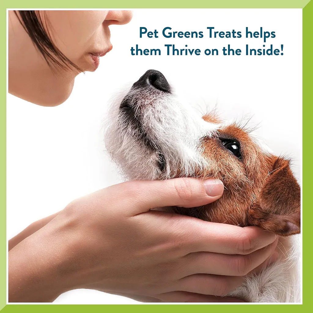 Pet Greens Li'l Treats Salmon Soft Mini Dog Treats, 6-oz