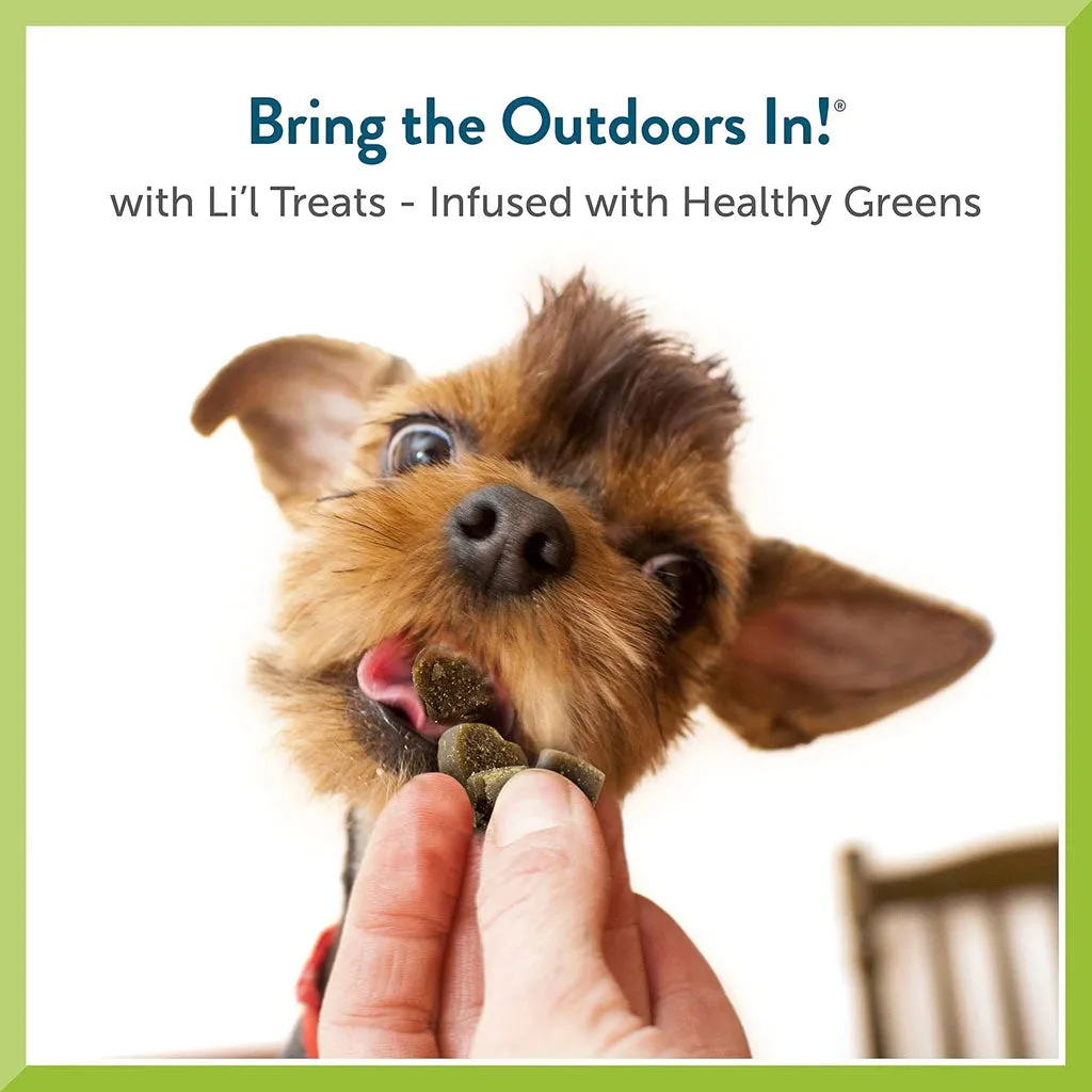 Pet Greens Li'l Treats Salmon Soft Mini Dog Treats, 6-oz