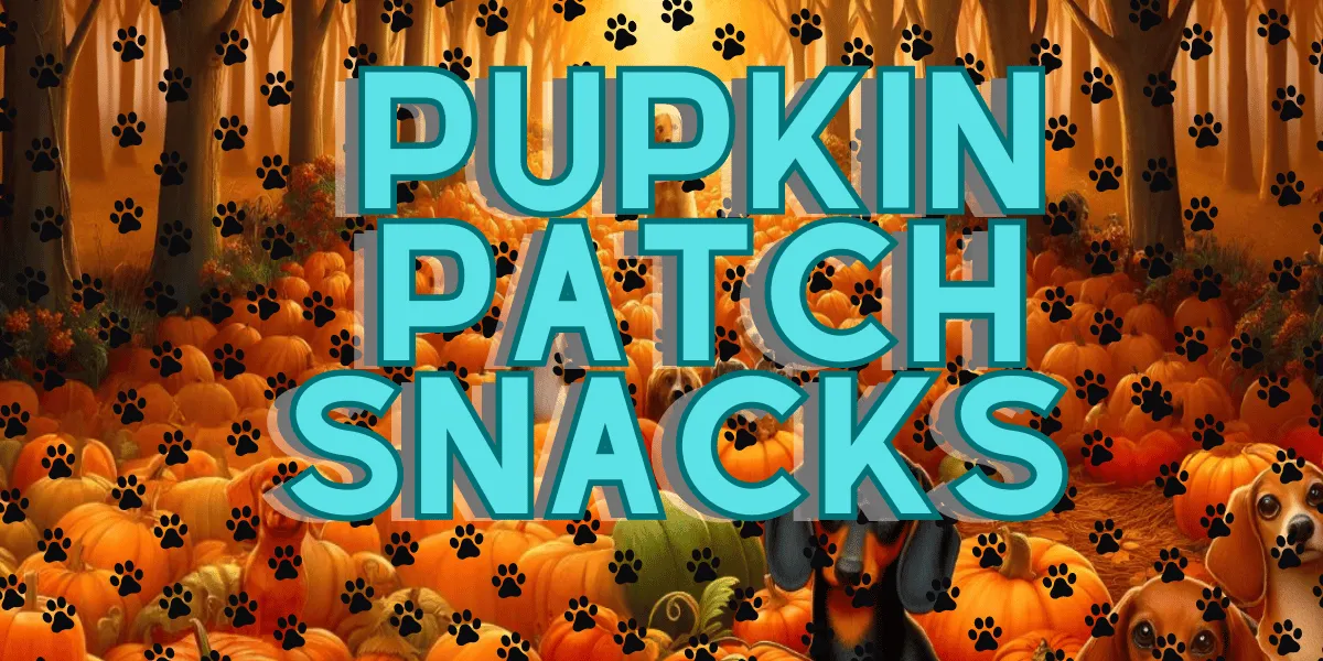 Pupkin Patch Snacks Dog Treats From Glamorous Pups