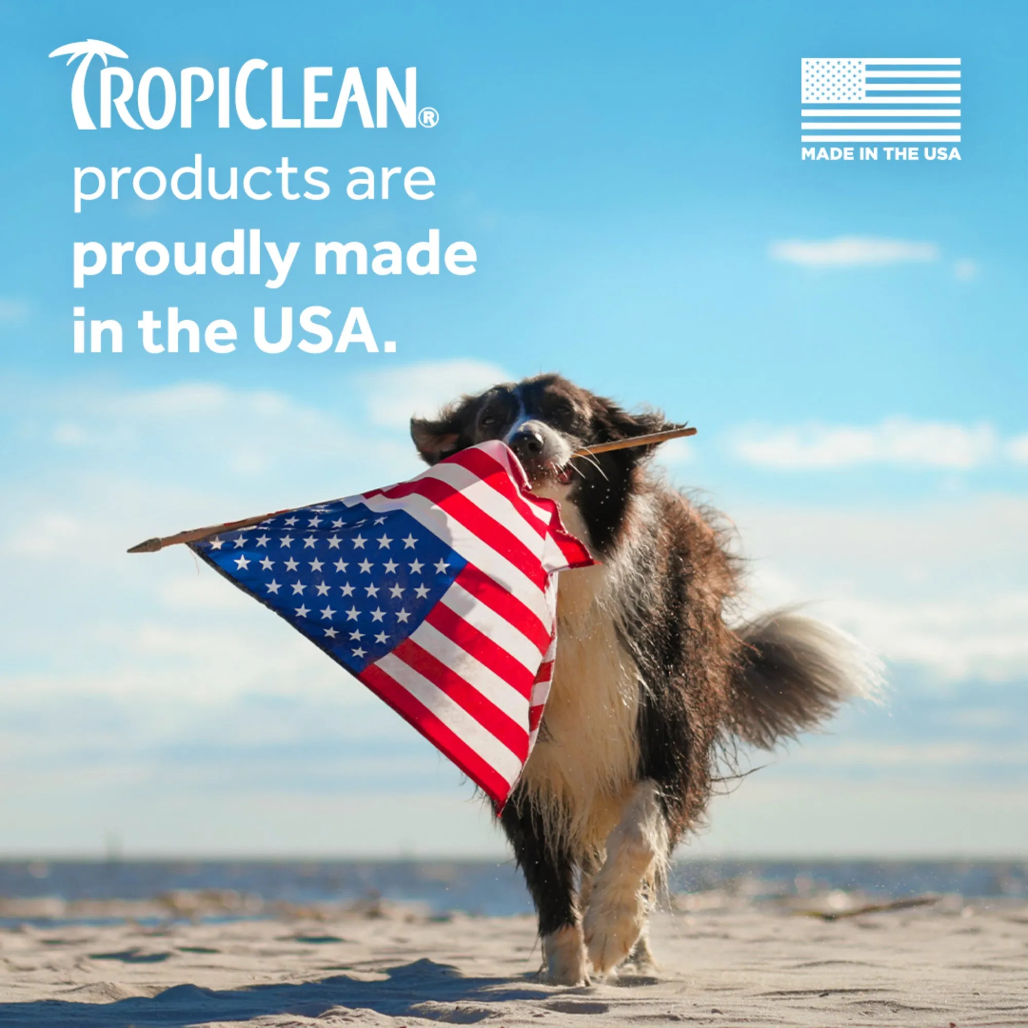 Tropiclean Waterless Dog Shampoo Deep Cleaning